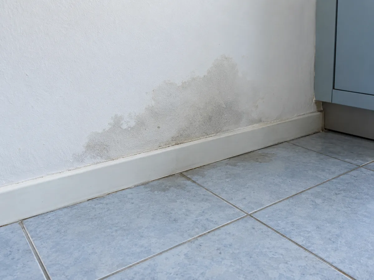 Mancha de umidade na parede logo acima do rodapé e do piso de cerâmica